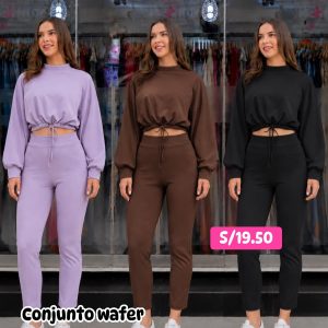 conjunto wafer